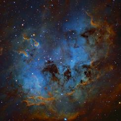 The Tadpoles of IC 410