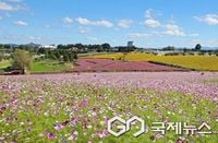 내일날씨, 서울·강릉 19도 