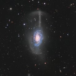 NGC 4651: The Umbrella Galaxy