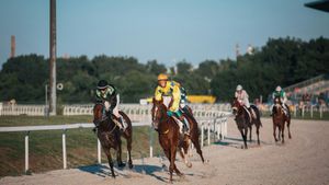 Thurles Racing Abandoned After Jockey's Serious Injury