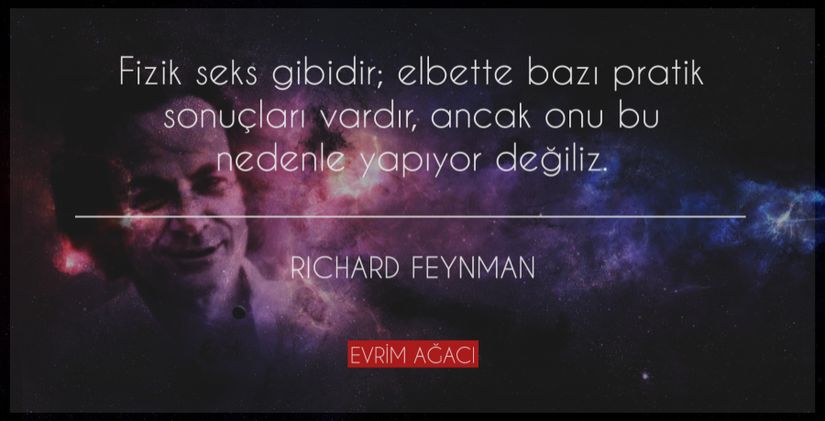 Richard Feynman'a atfedilmiş, aslında ona ait olduğu ispatlanmamış bir söz. Sözün Feynman'a atfedildiği ilk kaynak, 2000 senesinde Robyn Williams tarafından yazılmış &quot;Korkunç Canavarlar ve Parlak Fikirler&quot; (Scary Monsters and Bright Ideas) isimli kitapta geçen hayali bir diyalogdur. Yazar, hayali olarak Einstein ile Feynman'ı konuşturur. Kitapta Einstein, &quot;Eğer ki bir şeyi büyükannene anlatamıyorsan, onu anlamamışsın demektir.&quot; demiştir (ki Einstein asla böyle bir şey söylememiştir). Feynman ise Einstein'ın bu sözüne, yukarıdaki gibi cevap verir. Ancak bu hayali bir diyalogtur. Bu, hoş bir benzetme olmadığı anlamına gelmez tabii ki! Zira fizik de, gerçekten seks gibi oldukça pratik sonuçları olan bir olgudur: etrafımızda sahip olduğumuz her şey, bütün teknolojiler, bütün sistemler, bütün mekanizmalar öncelikle fiziğin eseridir. Fizik ve diğer temel bilim dalları doğa yasalarını keşfeder, inşa ettikleri teorilerle o yasaları izah eder, bunları alan uygulamalı bilimler (örneğin mühendislik) onlardan pratik ürünler üretir. Ancak fiziği aslen yapıyor olma nedenimiz, bize arabaları, uçakları, vs. versin diye değildir. Fiziği, Evren'i ve baş döndüren ihtişamını anlamak için yaparız. Pratik sonuçlarına ilk etapta bakmayız. Tıpkı seksin pratik sonucunun bebek üretmek olması; ancak onu sırf bu nedenle yapmıyor olmamız gibi... Feynman muhtemelen bu sözü hiç söylemedi; ancak biri söyleyecek olsaydı, muhtemelen bu muzip Bay Feynman olurdu!