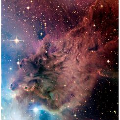 The Fox Fur Nebula from CFHT