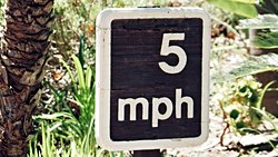 Görünmez Devler Ve Evrenin Sınırları