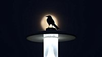 Artificial light has essentially lengthened birds' day