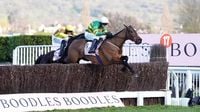 Grand National: Cheltenham Gold Cup winner Inothewayurthinkin ruled out of Aintree bid