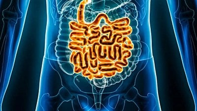 İnsanların Bağırsak Uzunlukları Kişiden Kişiye Değişiyor!