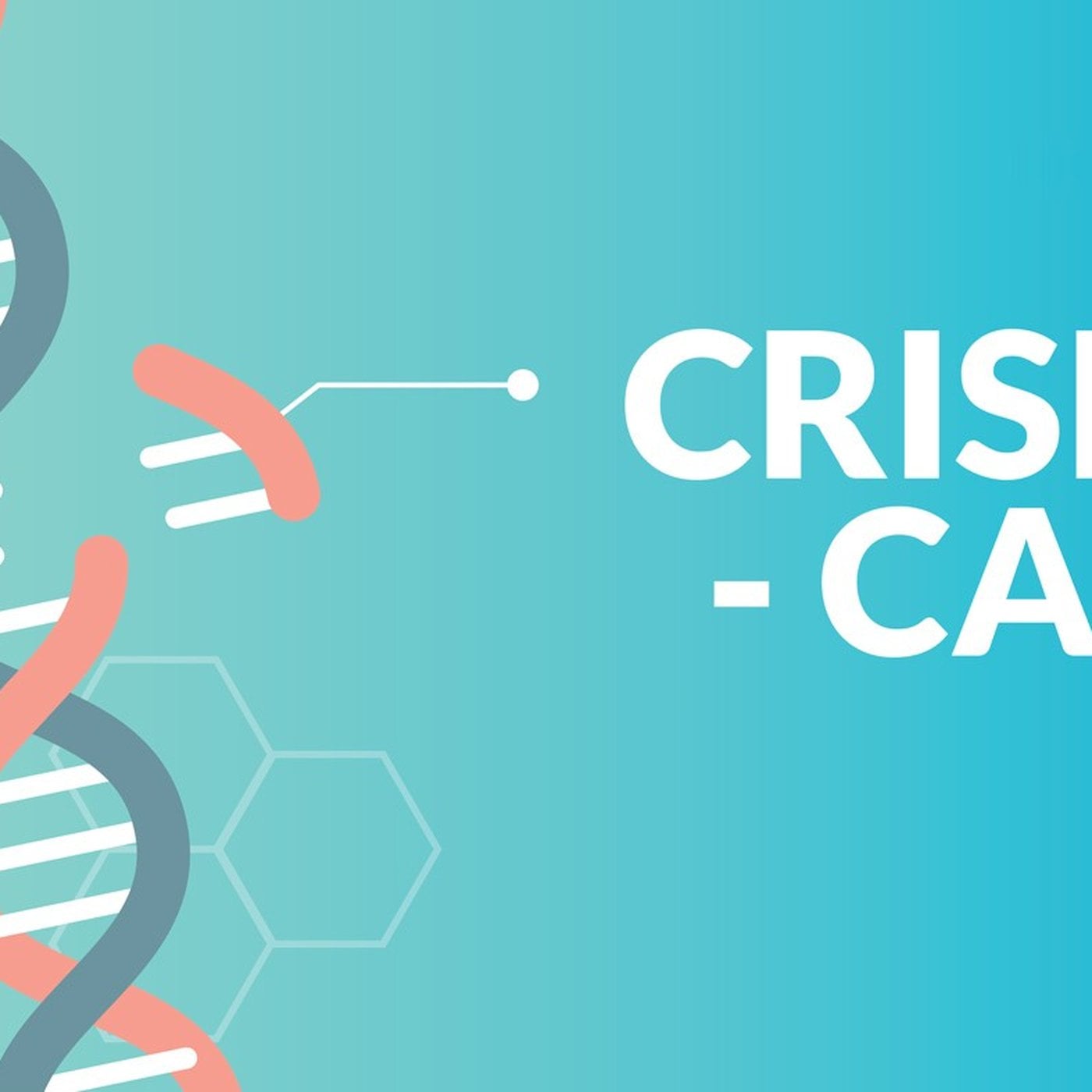 Evrim Ağacı ile Bilime Dair Her Şey!