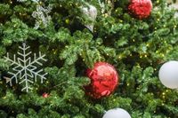 Federal workers to get extra days off before, after Christmas | ARLnow.com