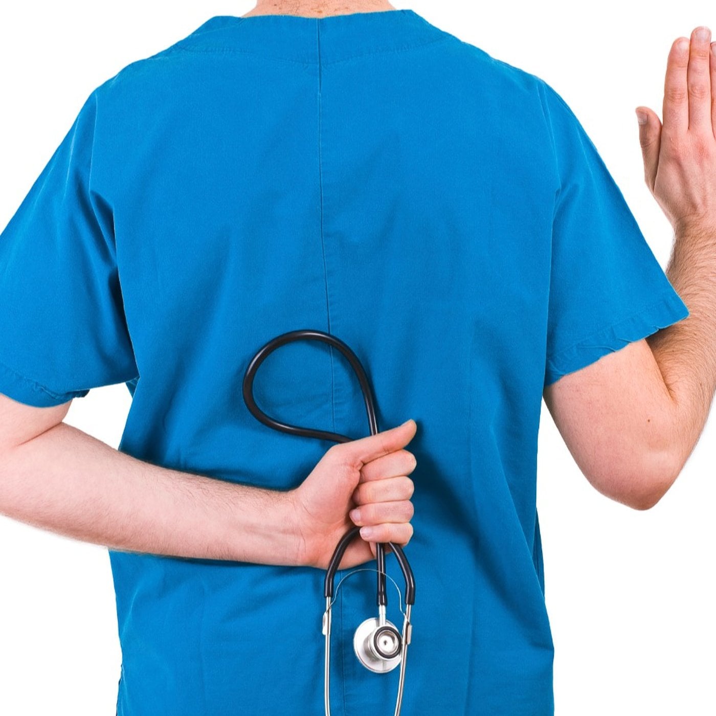 Evrim Ağacı ile Bilime Dair Her Şey!