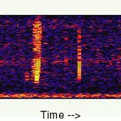 The Bloop: A Mysterious Sound from the Deep Ocean