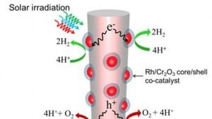 Boosting Water Oxidation Efficiency With NiO-Modified G-C3N4