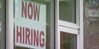 Minnesota’s job market growth slowed in July, experts say