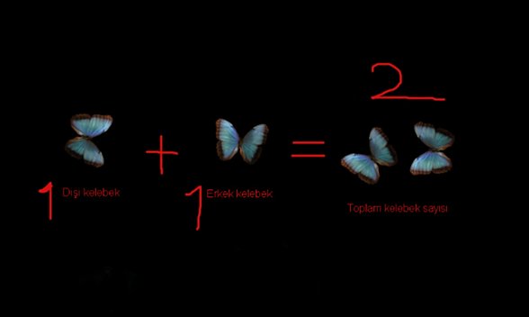 SmoothDraw 3.2.11 ile çizilmiştir.