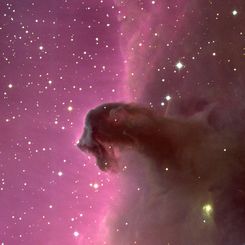 The Horsehead Nebula