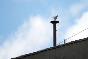 New Pope Leo XIV Elected Following Historic Conclave