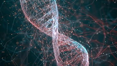 Yeni Bir Genom Kuramı: DNA, 