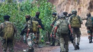 Kashmir Security Forces Intensify Counter-Terror Operations