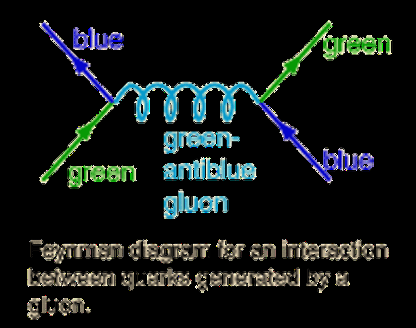 Kuarklar arasındaki etkileşimi kuran Gluon'un Feynman diyagramı. Burada tasvir edilen etkileşim, kuarkları mezonlara ve baryonlara bağlamaktan; protonları ve nötronları çekirdek oluşturmak için bir arada tutmaktan sorumludur. Bunu da aynı renk yüküne sahip kuarklardan birini değiştirerek yapar çünkü fermiyon olmalarından dolayı aynı kuantum özelliklerine sahip kuarklar bir arada bulunamaz.