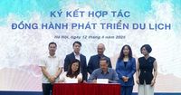 Khám phá Đà Nẵng 2025 với những hoạt động du lịch đa trải nghiệm