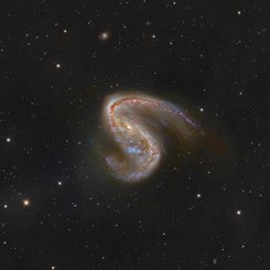 NGC 2442: Galaxy in Volans