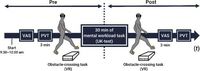 Age-related differences in the effect of mental fatigue on obstacle crossing in virtual reality - Scientific Reports
