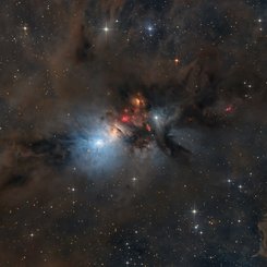 NGC 1333: Stellar Nursery in Perseus