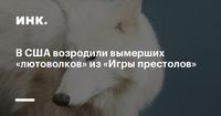 Новости