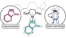 Araştırmacılar 120 Yıllık Sorunu Çözmek İçin Yeni Kimyasal Bileşik Yarattı!