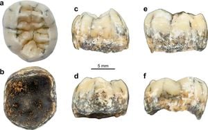 Fossil Discoveries Reveal Human Impact On Evolution