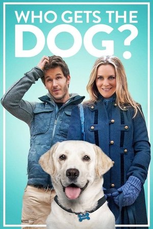 Köpek Kimde Kalacak?