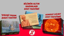 Ücretsiz Evrim Ağacı 2021 Takvimleri Yayında: Bilimin Altın Kadınları, Doğa Fotoğrafları ve Astronomi! (Dilerseniz, Baskısını Satın Alabilirsiniz!)