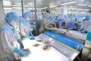 Thailand Plans VAT Expansion To Include Small Businesses