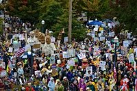 Crowds gather, chants echo at ‘No Kings’ protests in Bellingham