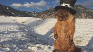 Groundhog Day 2025 Predictions: Spring Arrives Late