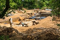 400.000 Yıllık Kamp Ateşi: İnsanların Ateş Yakmayı Sandığımızdan Çok Daha Erken Öğrendiğine Dair Yeni Kanıt.