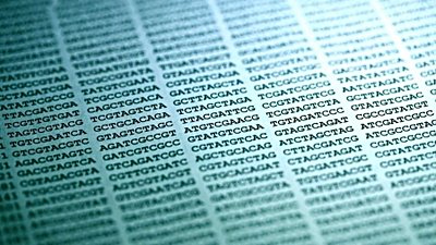 Genomik Dilin Karmaşık Gramer Yapısı: İnsan Genomundaki 3 Milyar Nükleotiti Nasıl Okumalıyız?