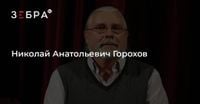 Николай Анатольевич Горохов