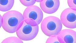 Tek Hücre Dizileme Nedir? İlaç Araştırmalarında Teknolojik Atılımlar ve Uygulamalara Katkıları Nelerdir?