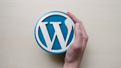 WordPress Tabanlı Bir Web Sitesinde SEO Nasıl Yapılır?
