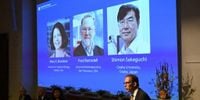 Trio Wins Nobel Prize in Medicine for Discoveries on Immune System