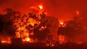 Greece Faces Devastation As Wildfires Threaten Athens