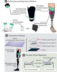 Dynamically adaptive soft metamaterial for wearable human–machine interfaces - Nature Communications