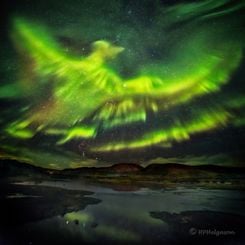  A Phoenix Aurora over Iceland 