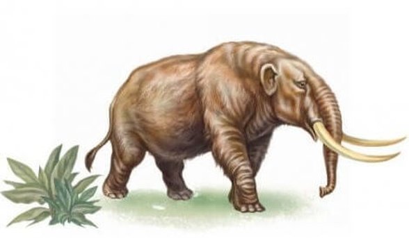 Dijital Mastodon