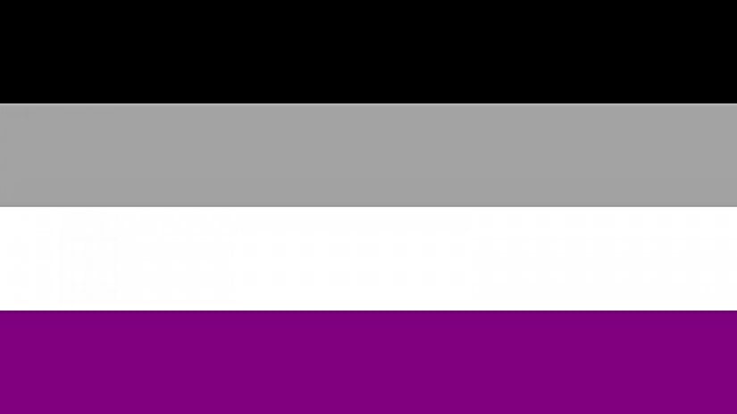 Yaygın olarak kabul gören "aseksüellik gurur bayrağı".