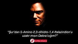 CSI: Evrim Ağacı ve Lüminesans: Işık Olsun!