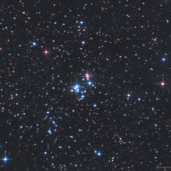 The 37 Cluster
