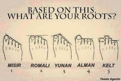 İnsandaki Ayak Şekillerinin Evrimdeki Yeri Nedir?