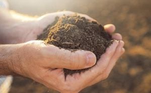 Unprotected Carbon Dominates Decadal Soil Carbon Increase