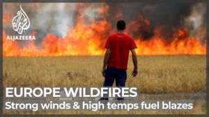 Europe Struggles With Deadly Wildfires